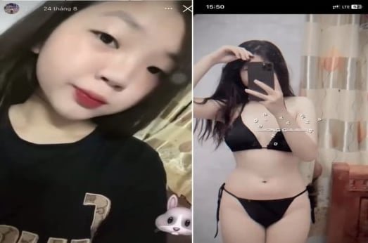 Thỏ cần nước từ c__ để bị hư hỏng
